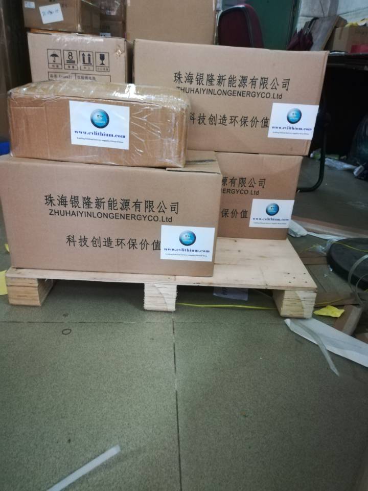 Yinlong Lithium Battery to USA