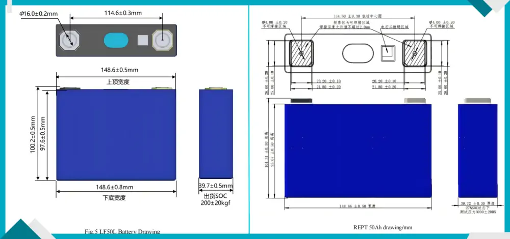 dimension of EVE LF50L 3.2V50Ah and REPT 3.2V50Ah lifepo4 batteries