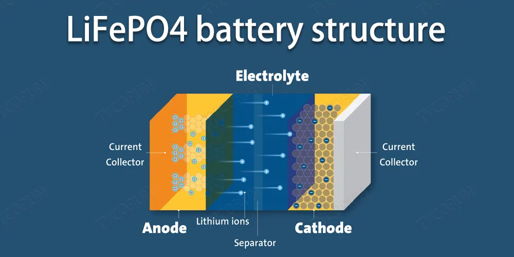 LiFePO4-battery-structure