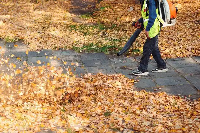 leaf blower battery